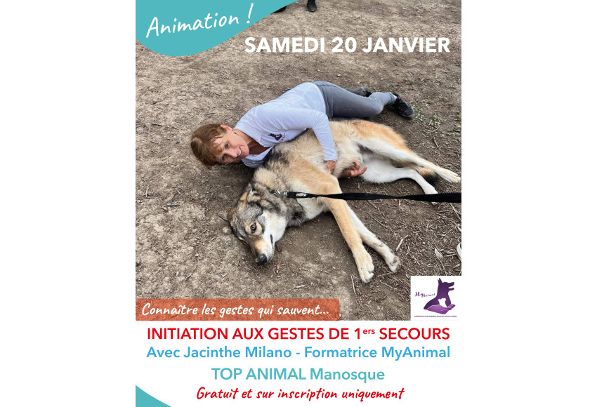 INITIATION AUX GESTES DE PREMIERS SECOURS CHIENS/CHATS
